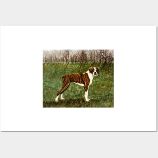 BOXER DOG Posters and Art